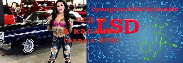 ГАЛЛЮЦИНОГЕННЫЕ ГРИБЫ Балахна