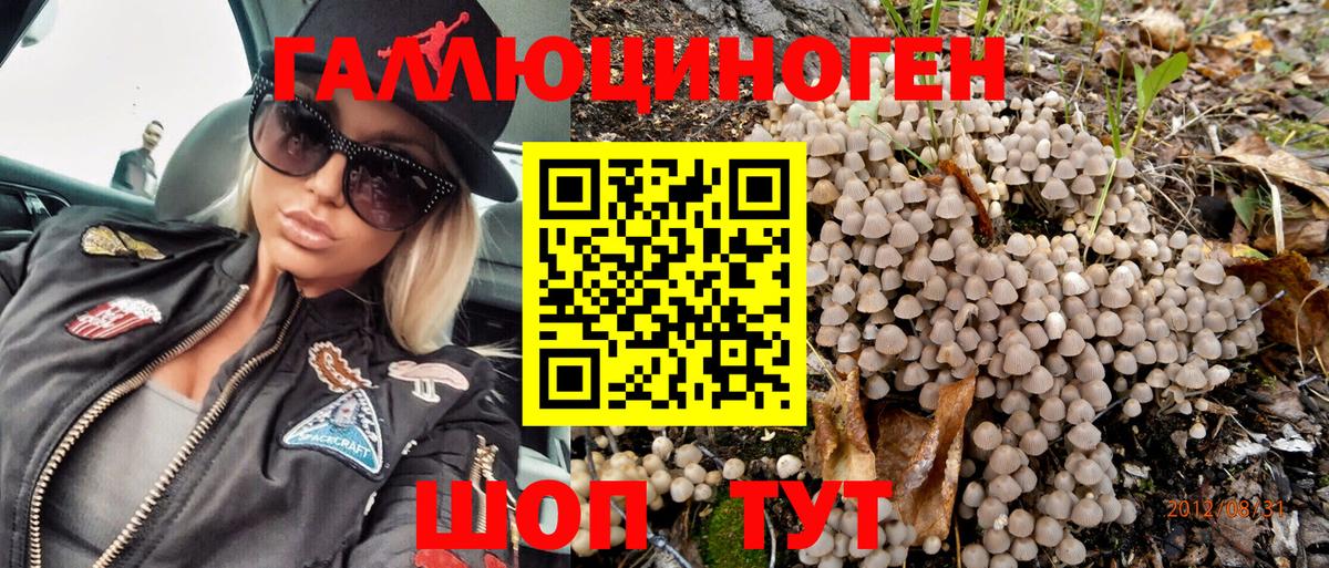 Нерюнгри  Псилоцибиновые грибы Psilocybine cubensis  Вход с VPN 